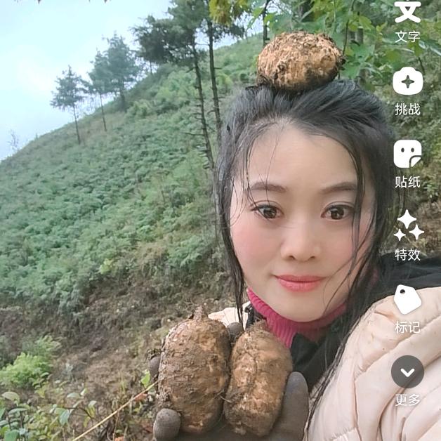 孙二娘的大天麻