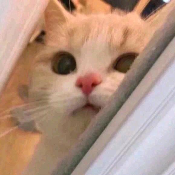 yooooo