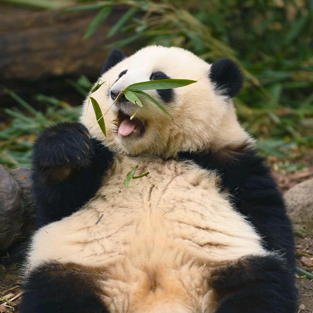 @小港