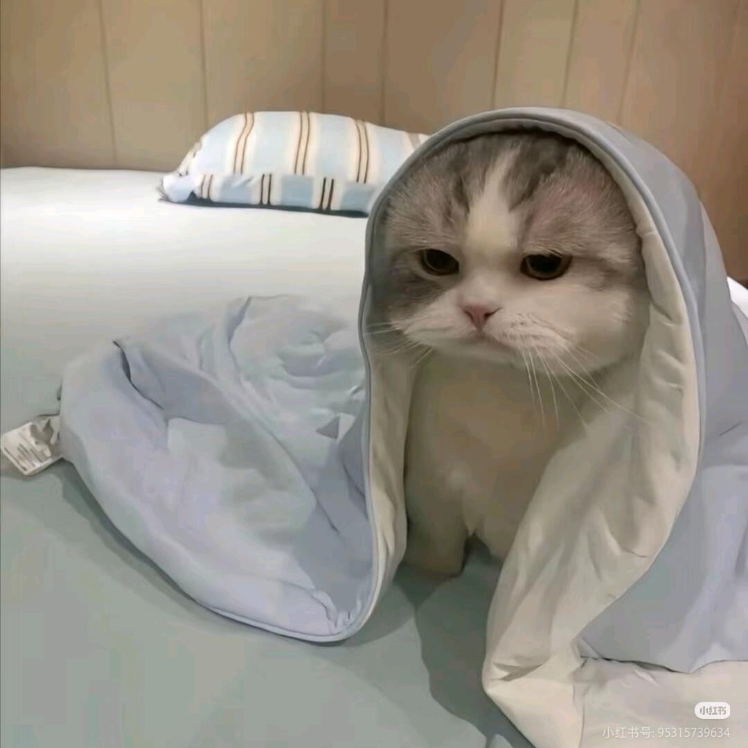 想睡觉
