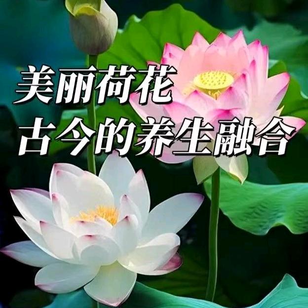 八段锦教学