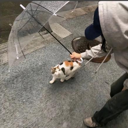 小杨睡不着