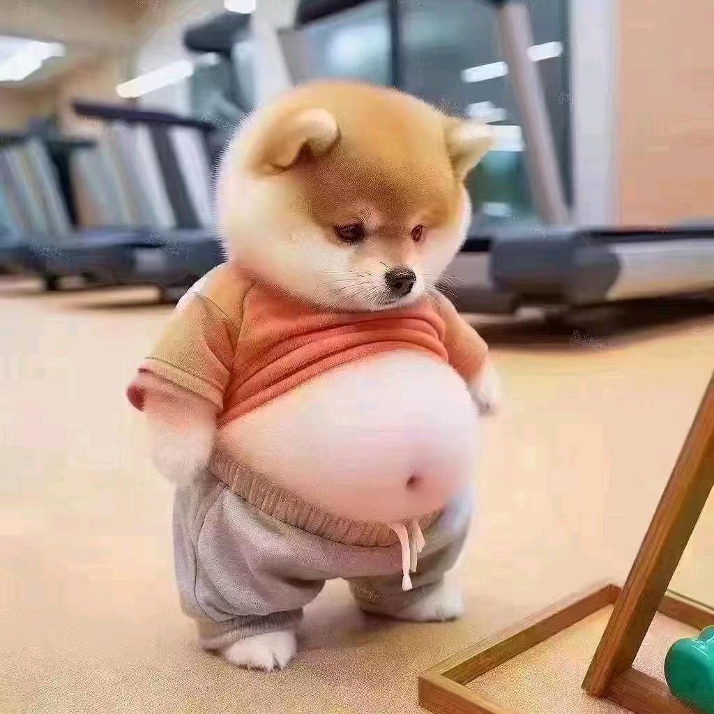 严志强