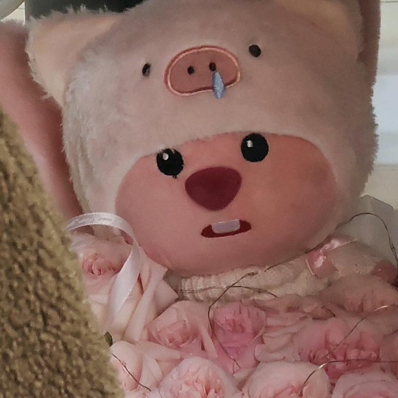 哔咔-