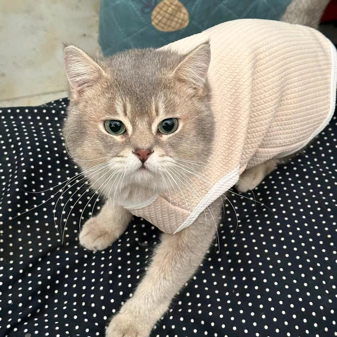 小潘.