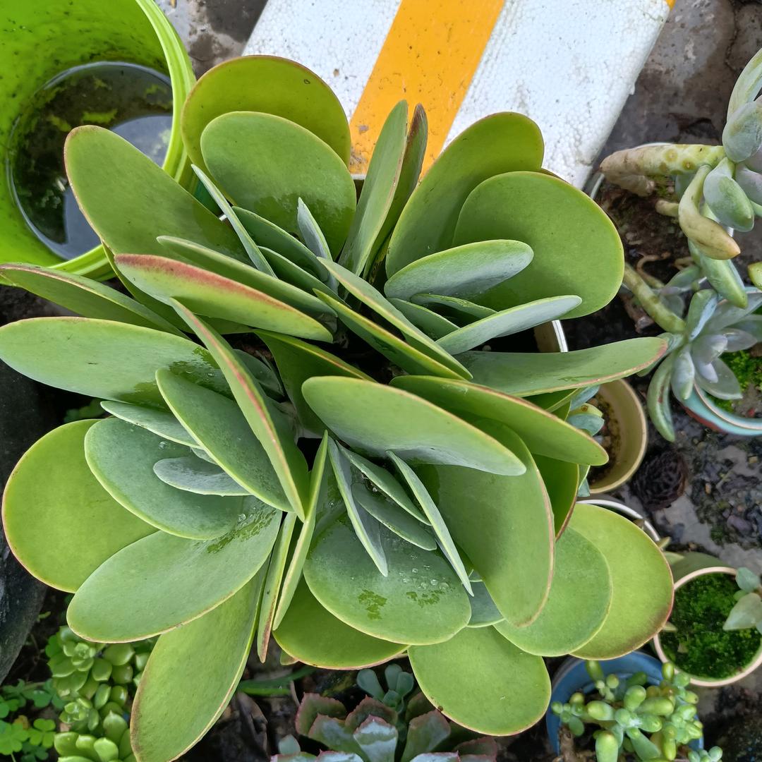 有个性