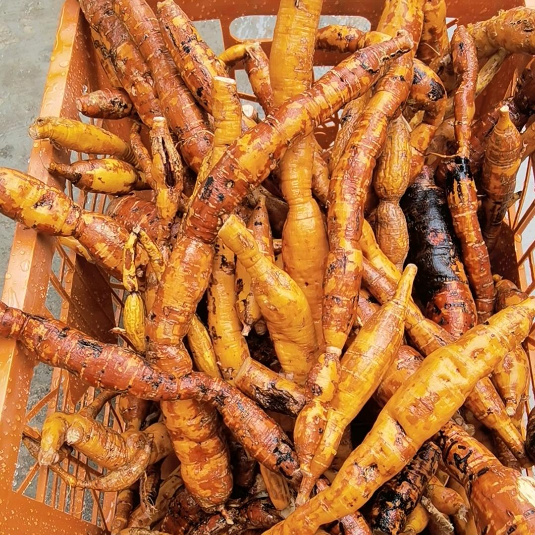 ღ᭄ꦿ꯭ℒℴѵℯ⁵²⁰☾࿚໌້ᮨ࿙ ℘࿐