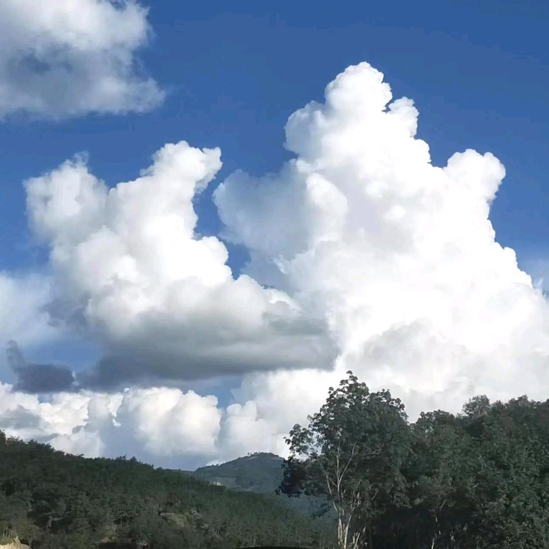 自行车