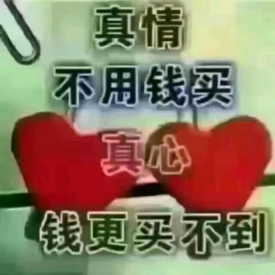 金修岁月