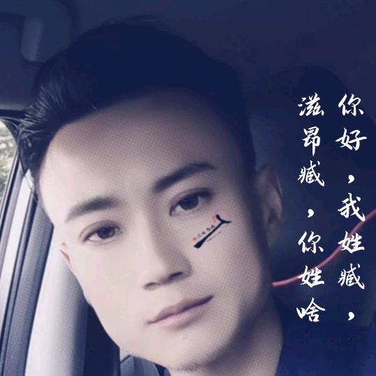 臧先生  树脂瓦直销