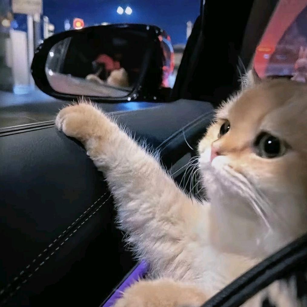 小夜