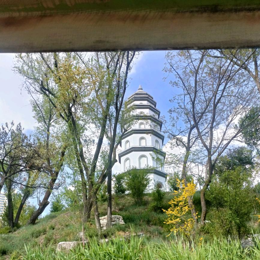 虚伪的虚伪的世界