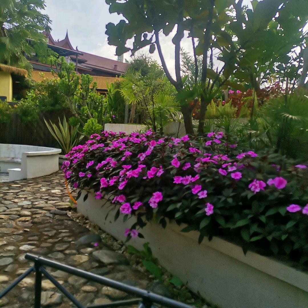 芒市聚鲜园水果店