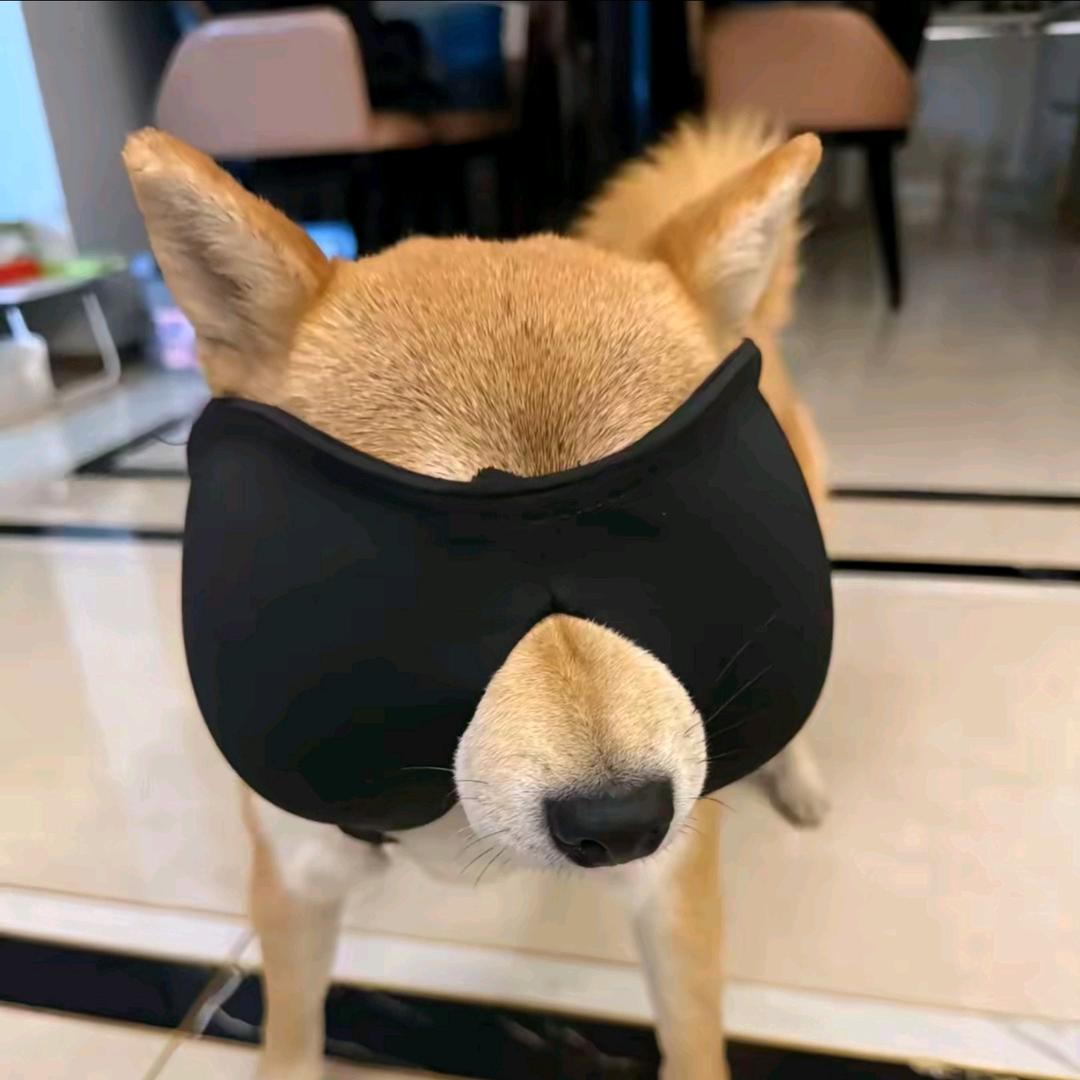 邵东