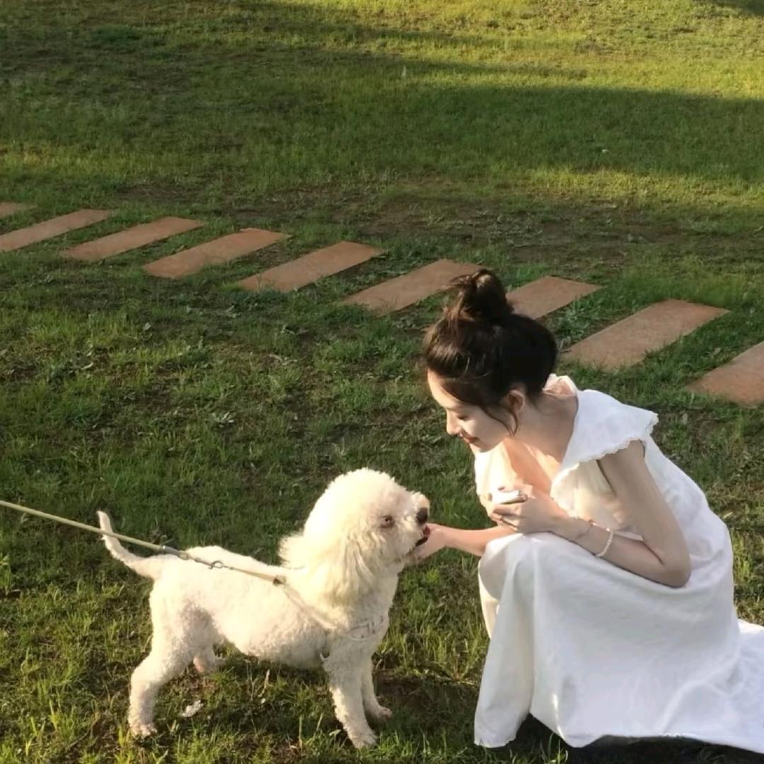 淡雅如兰