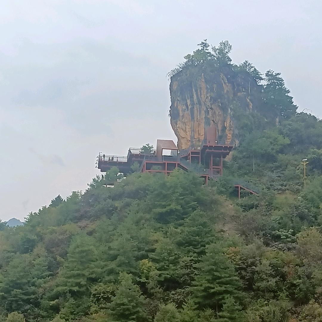 🐯虎虎生威🐯