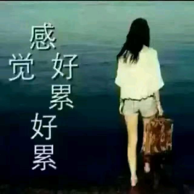 丽丫头