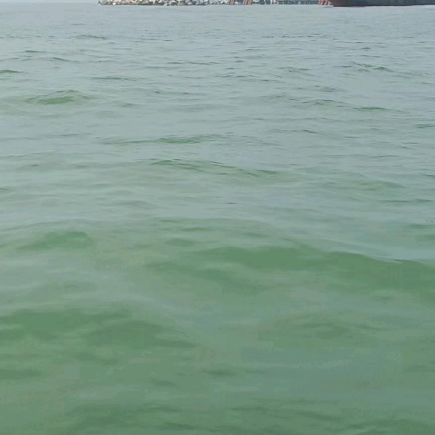 黄者