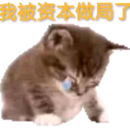 応