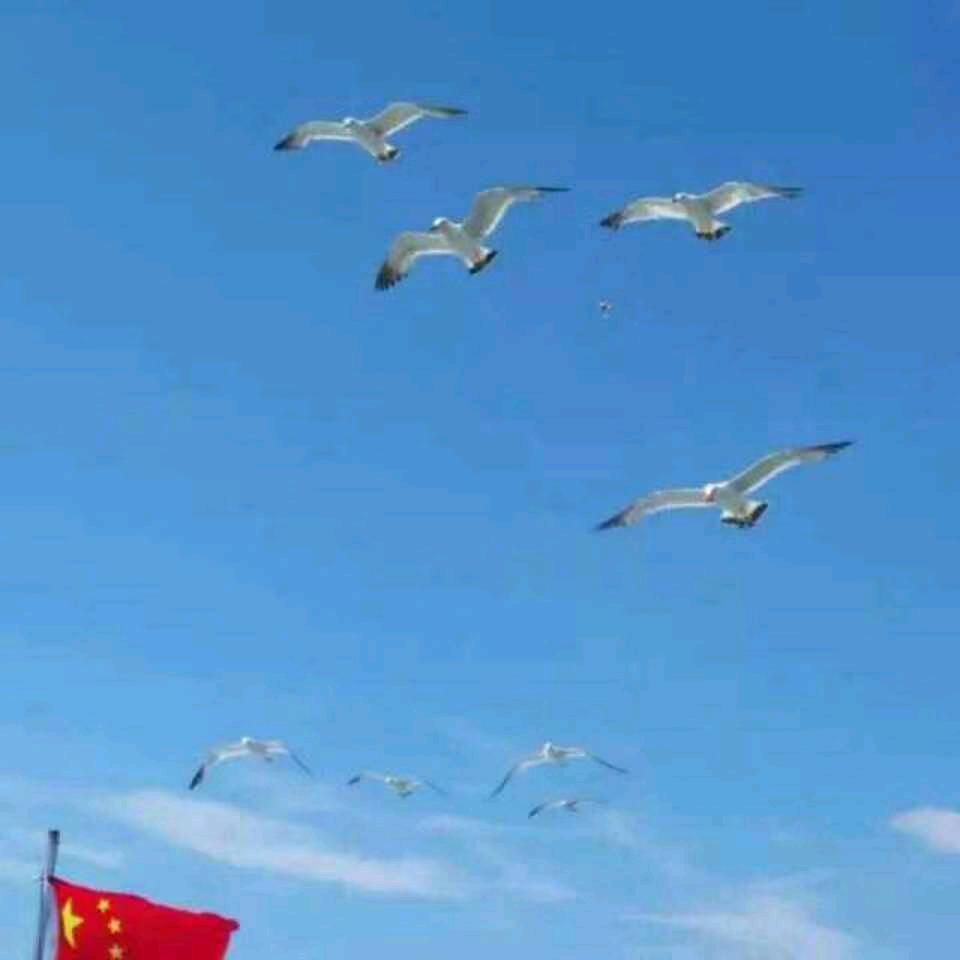 顺其自然