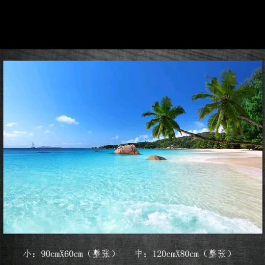 这里四季春常在