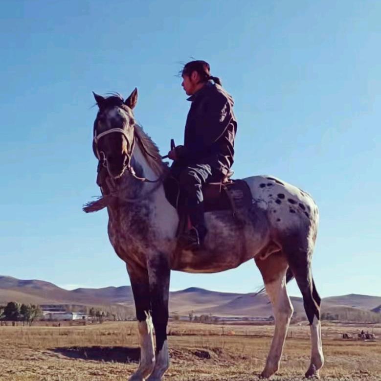 阿帕卢咖马术俱乐部🐎