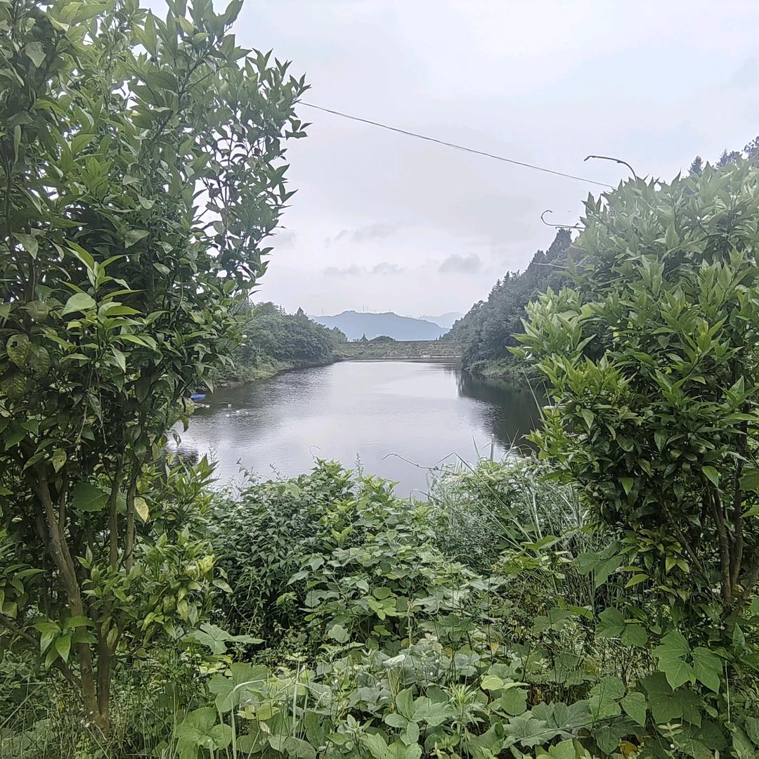 陈家水库渔乐家