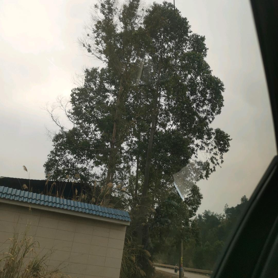 航尚涵百货店