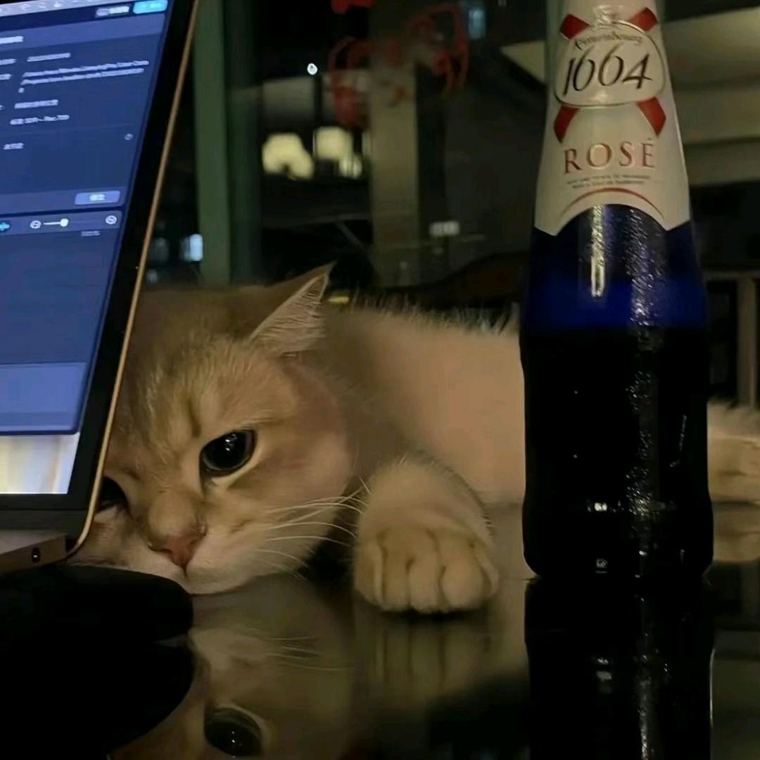 磊（三角洲行动）