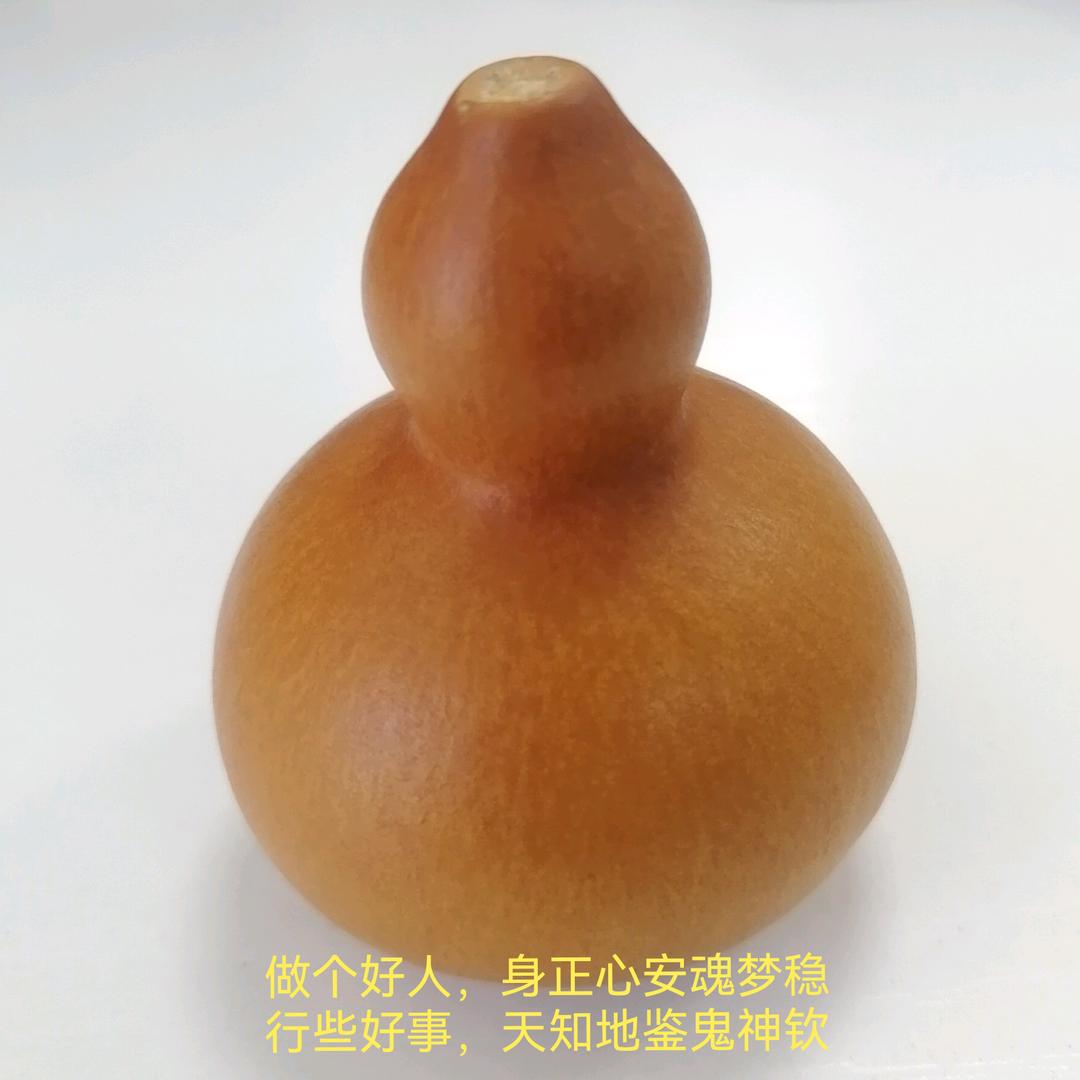 种业洞察-行者无疆