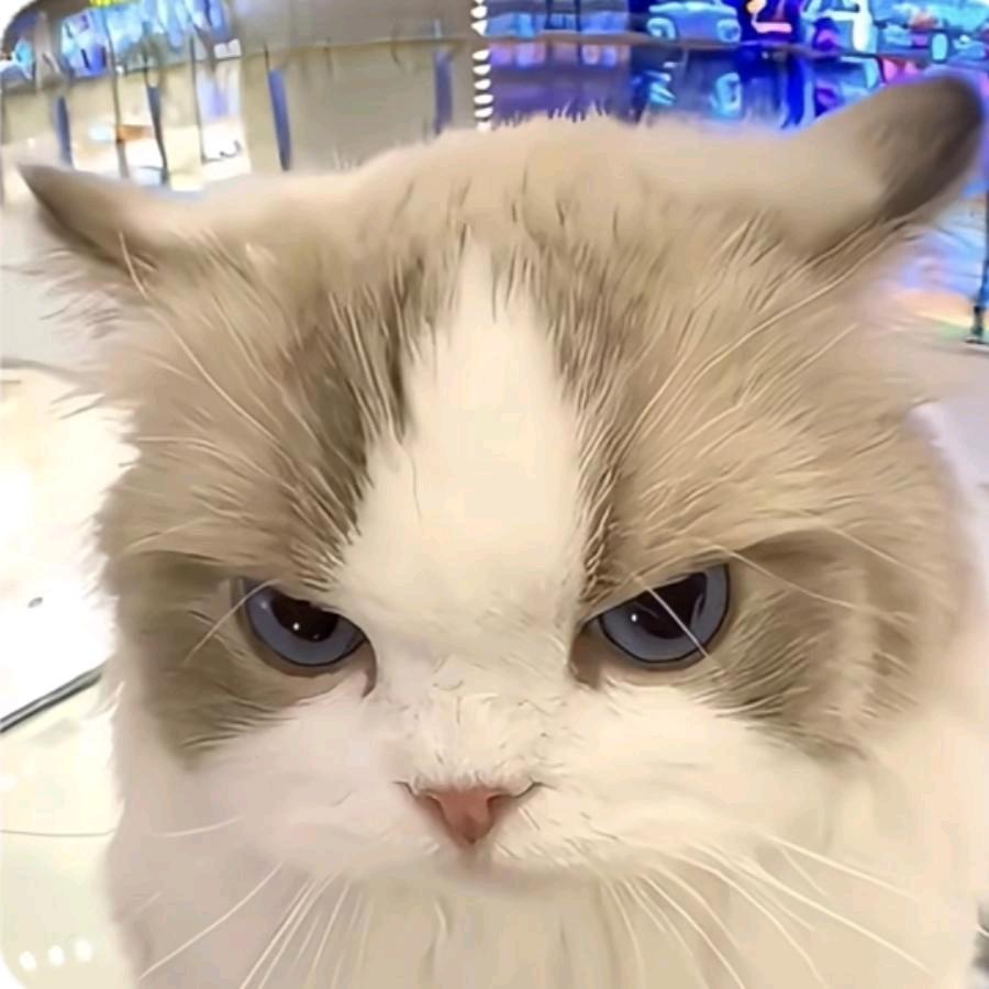 开荒哥哥