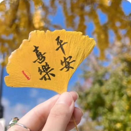 花间见喜旗袍店～美丽.