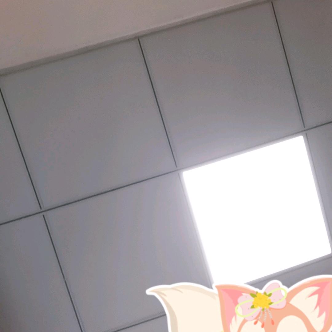 斌
