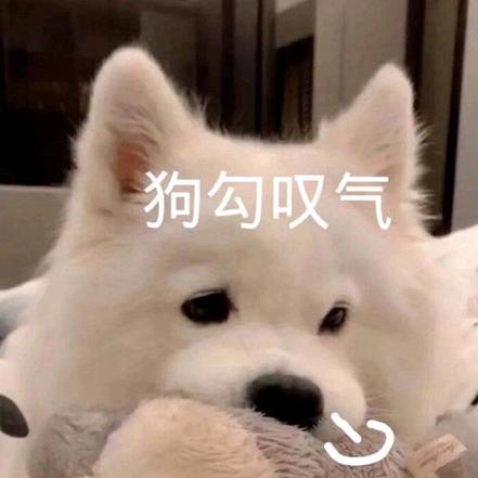 阿依登