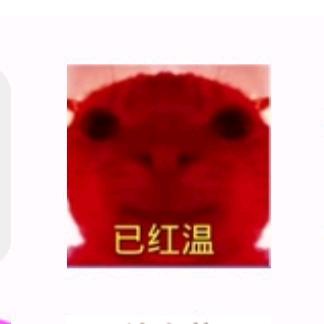 编程