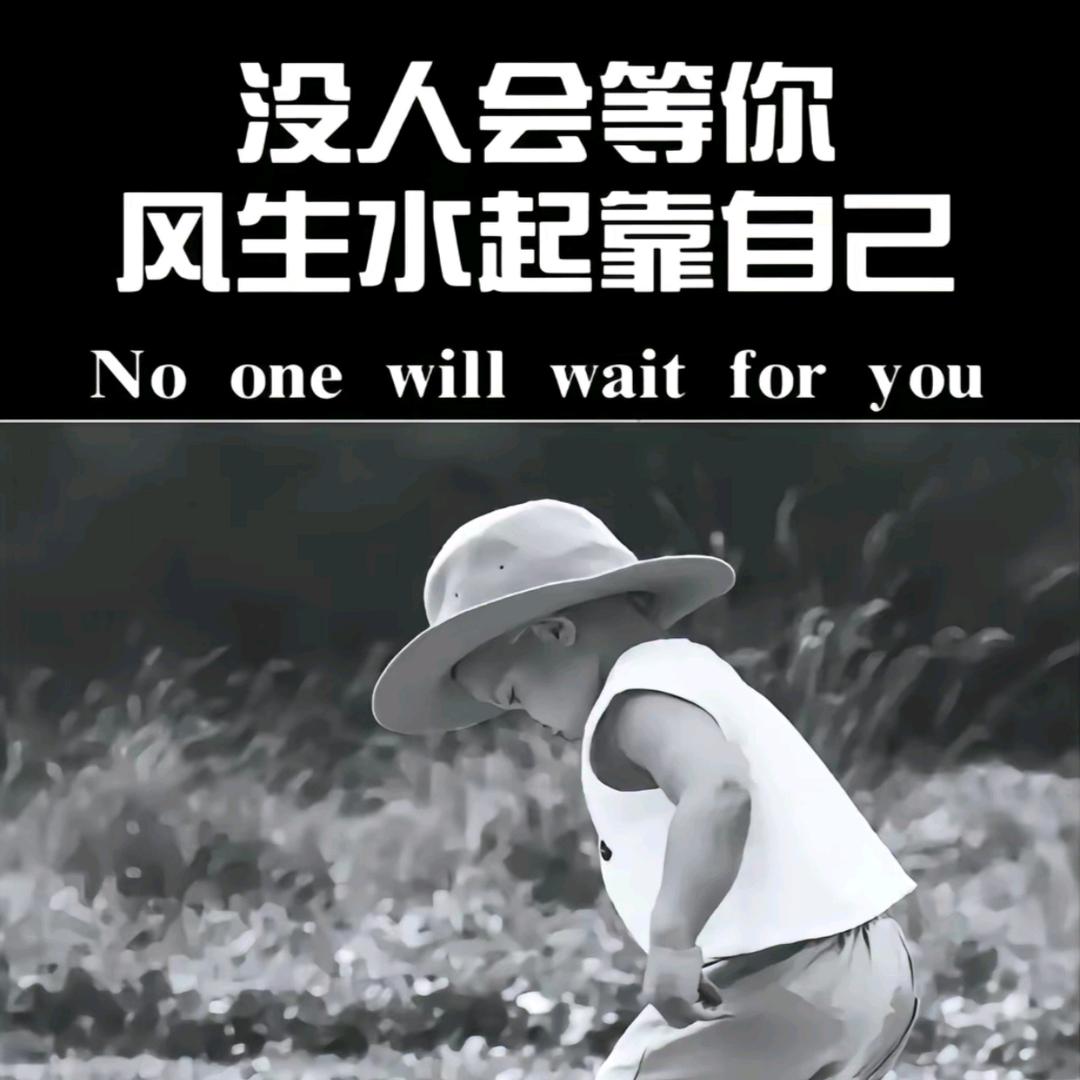 杨木易