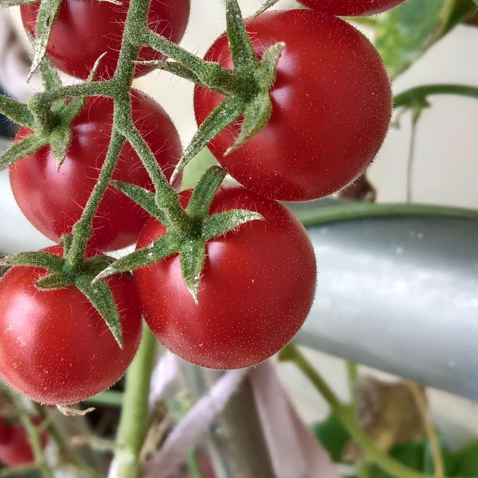 ✴️孞✴️琞✴️(连赞超三拉黑)