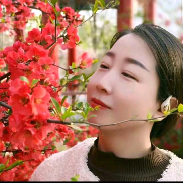 桂兰