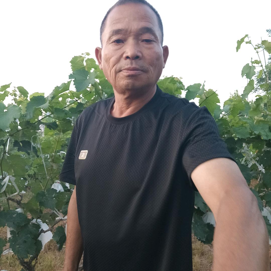 每天不定时直播