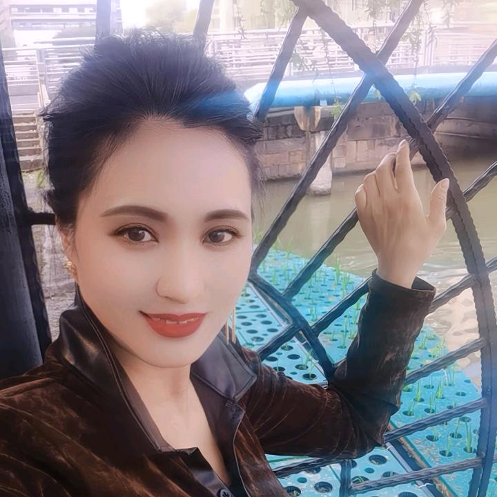 玫瑰