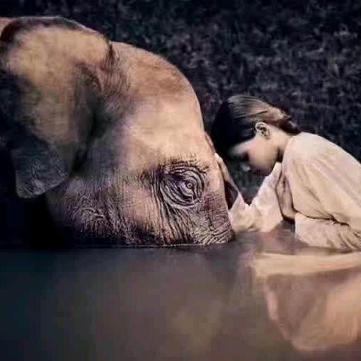 香蕉批发零售 小刘