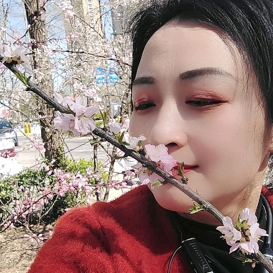 红姐&重生