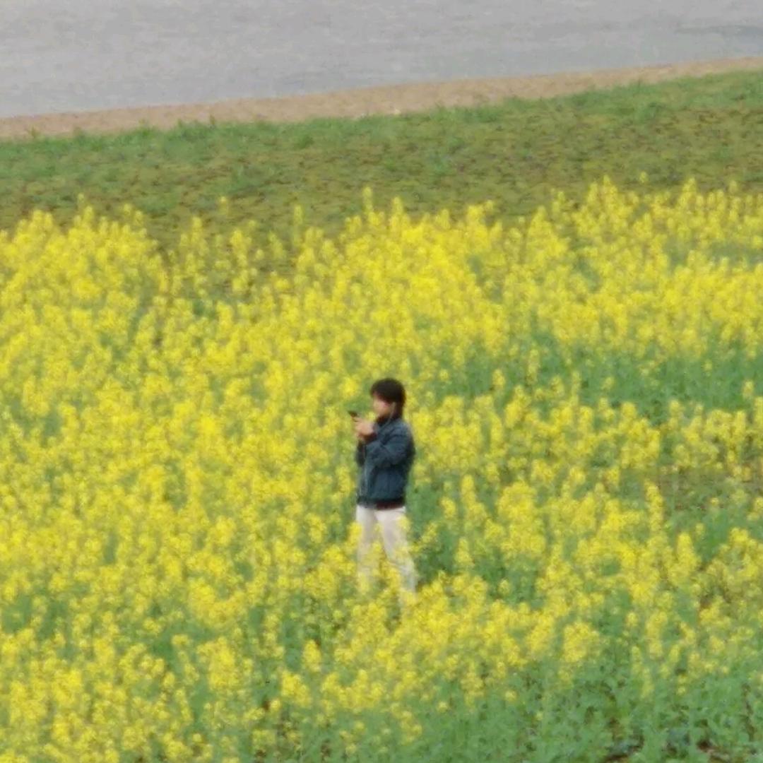 叶记回家恰饭（晓莲）