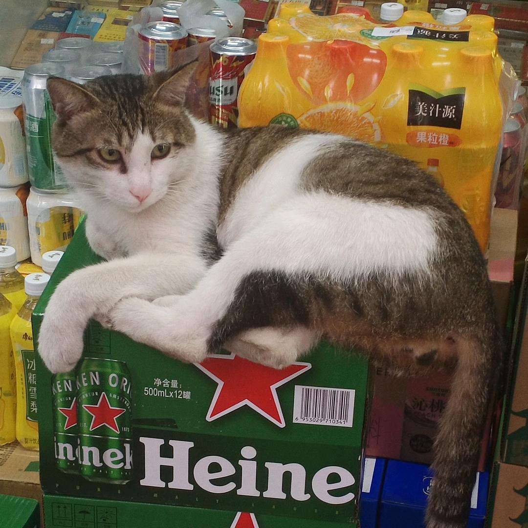 两分钟
