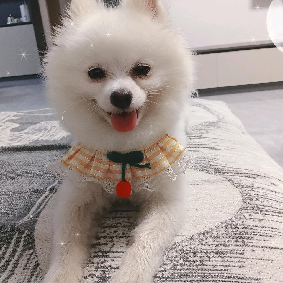 萧萧