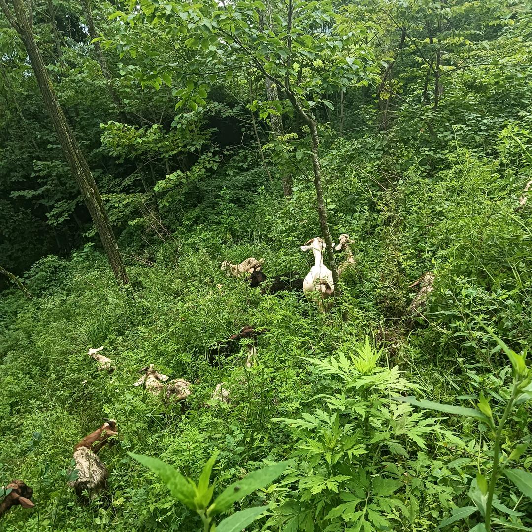 王秀刚