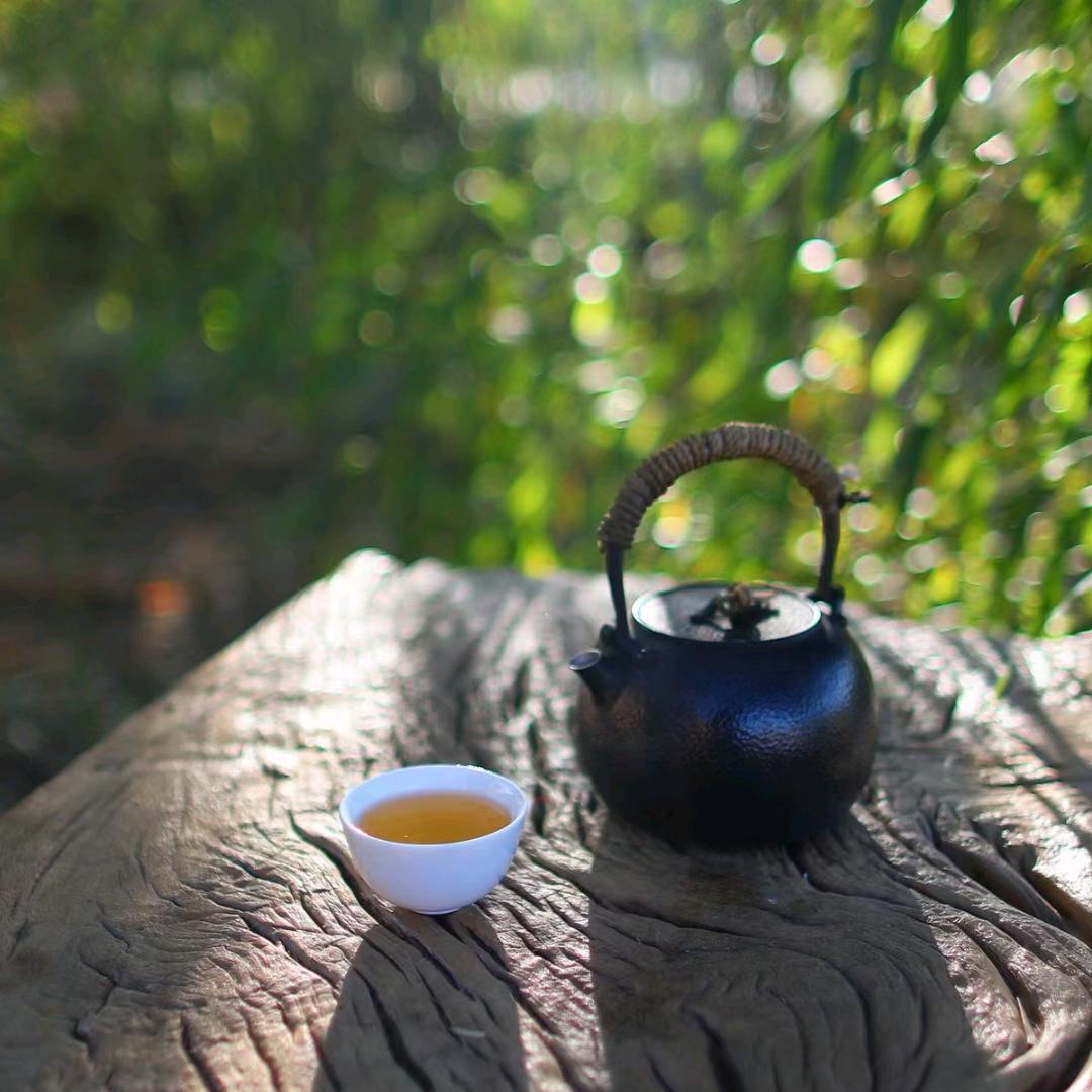 偏偏爱喝茶