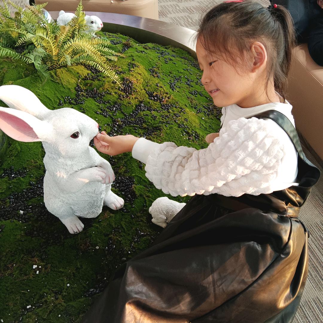 云海淼淼