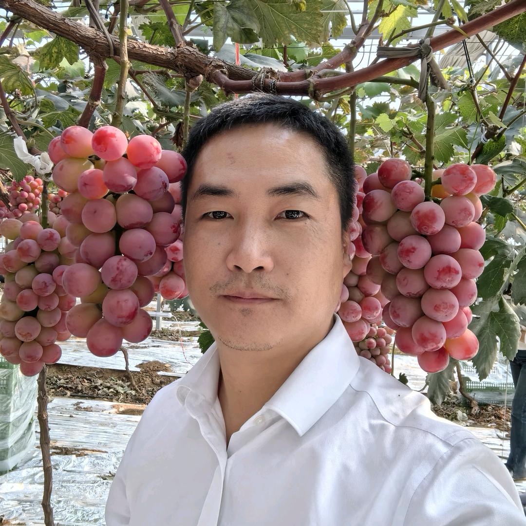 青青生态农业