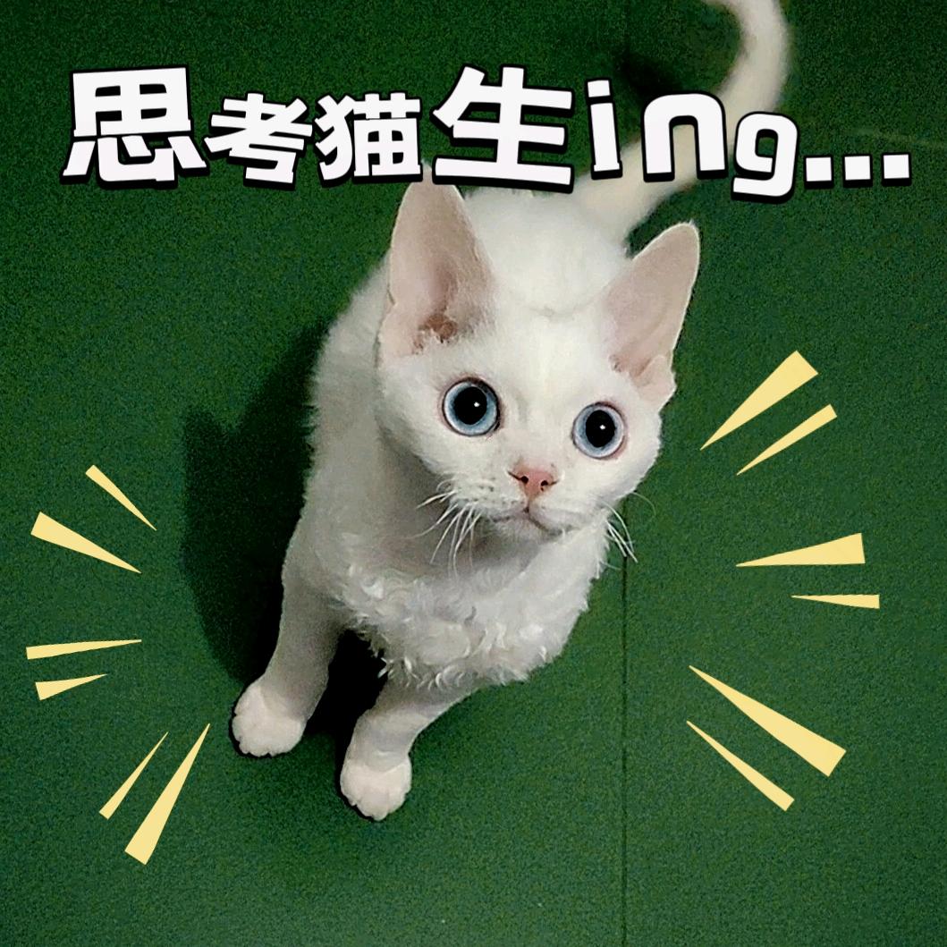金豆小宝贝
